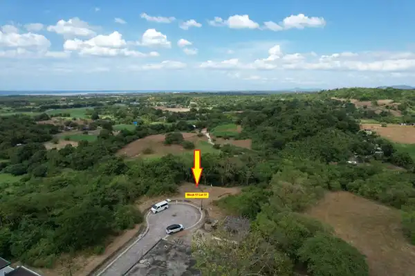 mainImg